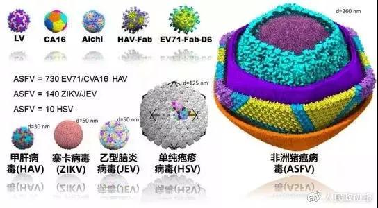 雷火竞技
3D